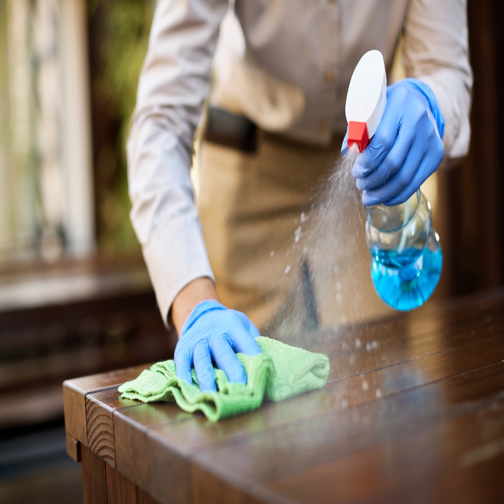 housekeeping-professional